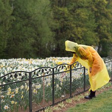 5tlg. Teichzaun Gartenzaun