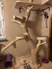 XXL Kratzbaum Katzen Eigenbau Holz Kiefer mehrere Plattformen