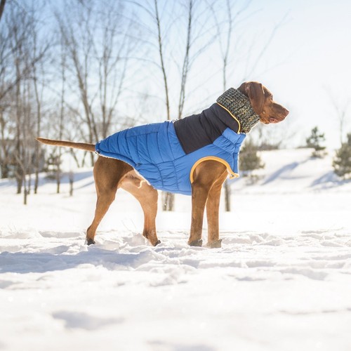 Hundemantel wintermantel hund - hundemantel,
