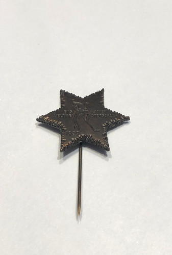 Official logo pin eishockey - official,