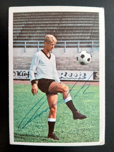Peter czernotzki borussia - czernotzki,