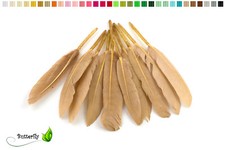 Indianerfedern 10cm 15cm