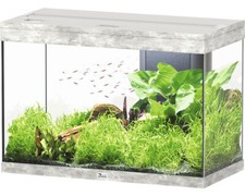 Aquarium aquatlantis Splendid