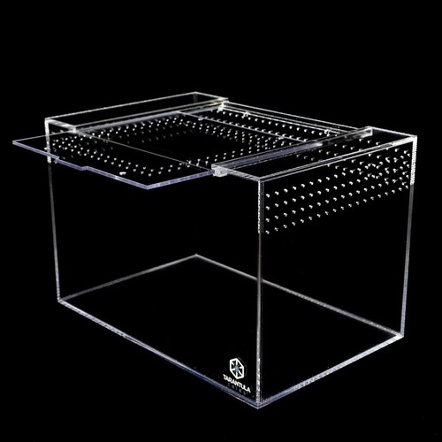 Terrarium acryl tarantula - terrarium,