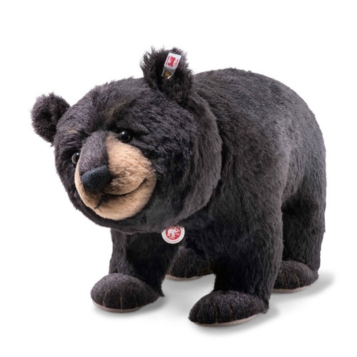 Herr großer schwarzbär - großer, von