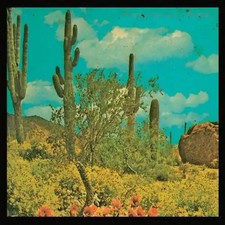 Puta Madre Brothers - It's a