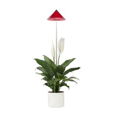 Parus by Venso SUNLiTE LED