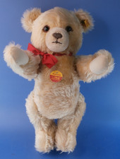 Original  STEIFF Teddy /