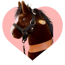 Hobbyhorse und Spielpferde