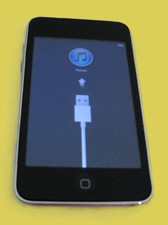 Apple iPod Touch A 1288