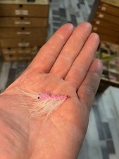 1 St PATTEGRISEN MEERFORELLE