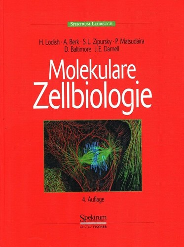Molekulare zellbiologie aus - zellbiologie.,