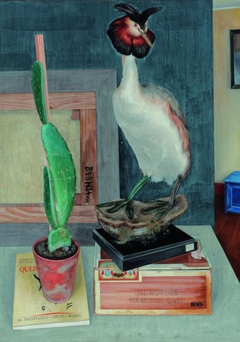 Still life with crested coccyx - still,