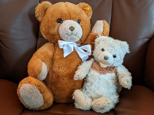 Steiff teddybären cosy - teddybären,
