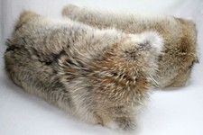 965 Kojotenkissen - kanadische