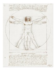 Vitruvianischer Mensch