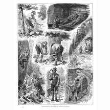 Holzschnitt in den Wäldern