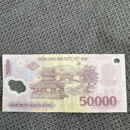 000 dong vietnamesische - 50.000,