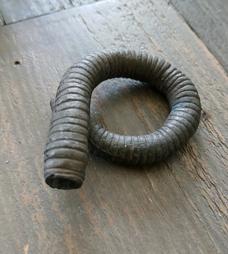 Riesenwurm kreatur monster - riesenwurm,