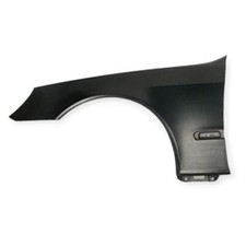 Diederichs Kotflügel links