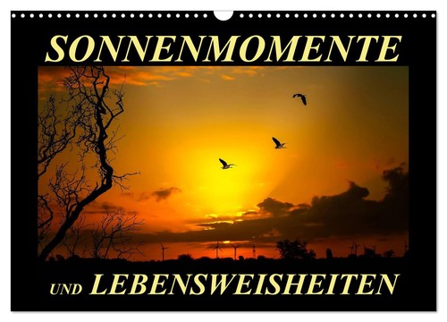 Sonnenmomente und