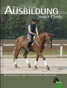 Ausbildung junger pferde - ausbildung,