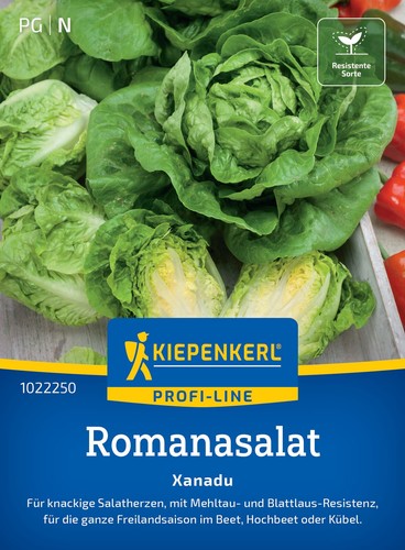 Romanasalat xanadu mhd - *,