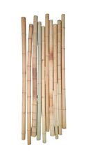 Bambusstangen Bambus