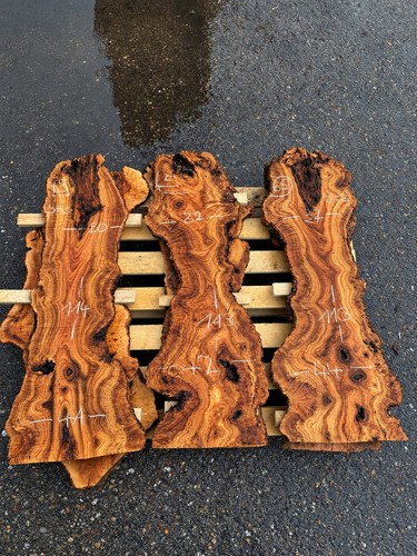 Olivenholz baumscheibe holz - olivenholz,