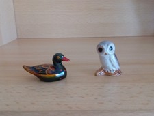 Ente Eule Miniatur Tier