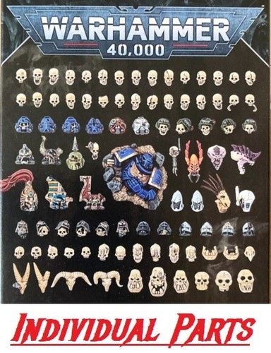 Battle damaged skulls - battle,