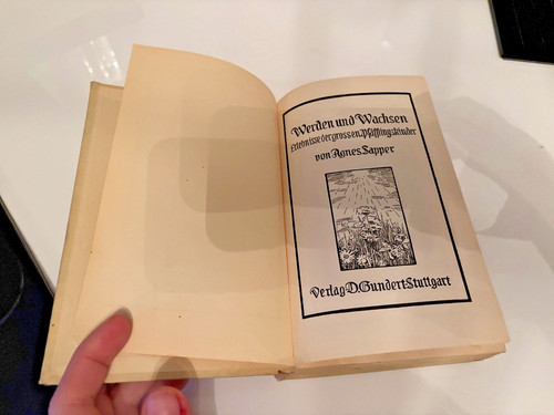 Antiquarisch agnes sapper - antiquarisch,