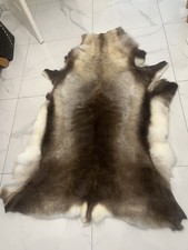 Echtes Rentierfell NEU 148 x 90 cm  Alternative Schafsfell ???aus Norwegen XL
