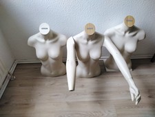 3 x keramik-Torso , männlich