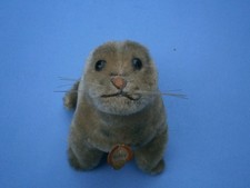 *****************   Steiff