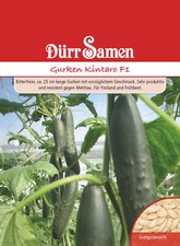 Gurken Kintaro F1 Samen von