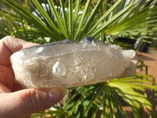 Lemuria Samen Kristall