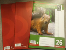 3 Schulhefte DIN A4 Kariert