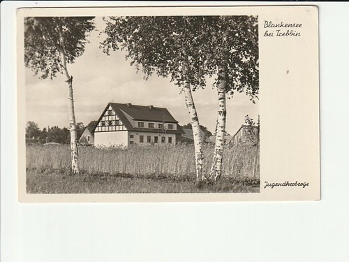 Blankensee trebbin youth - blankensee/trebbin,