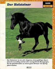Der Holsteiner (Leichte Pferde) - Infokarte