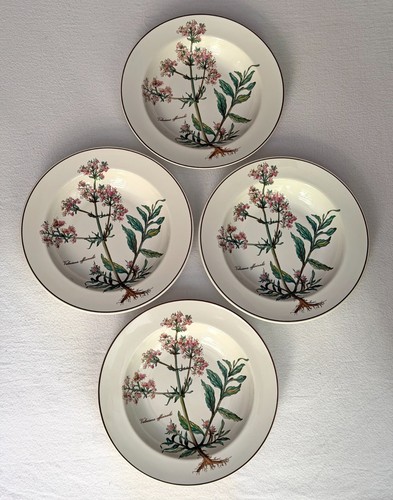 Villeroy boch botanica 4 - &,