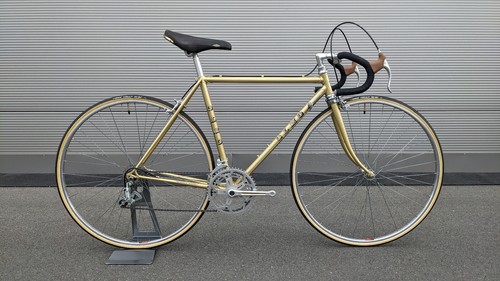 Olmo campagnolo valentino - olmo,
