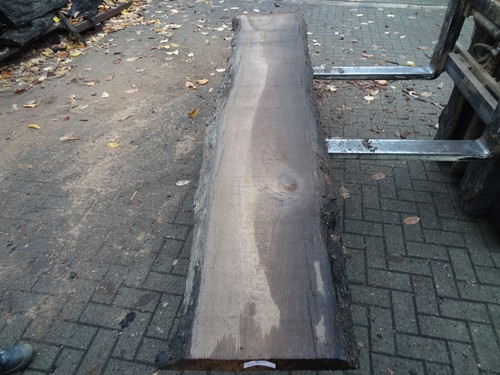 Mooreiche mooholz 2000 - mooholz,