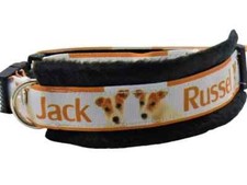 Hundehalsband "Jack Russel