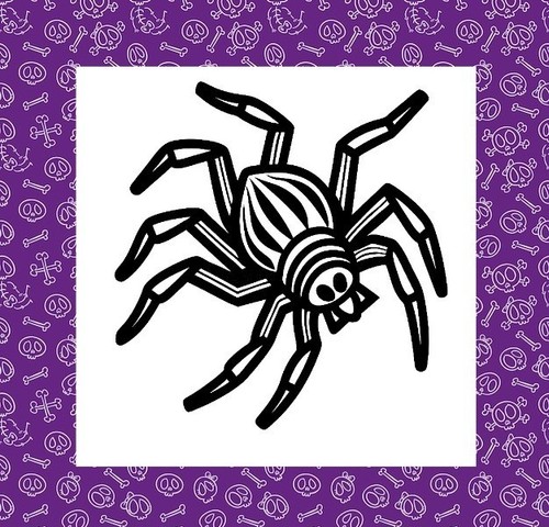Spinne tarantel silhouette - tarantel,