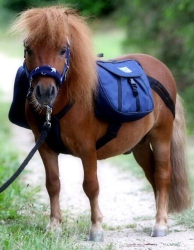 Wanderrucksack rucksack - wanderrucksack,