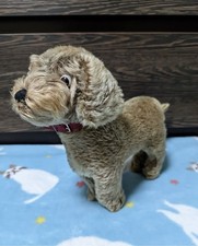 Steiff Hund Raudi 4190/23