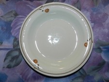 Suppenteller Tiefer Teller Winterling Röslau Serie Petra 22cm Vintage [2066]