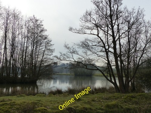 Foto 12x8 petworth park - 12x8,