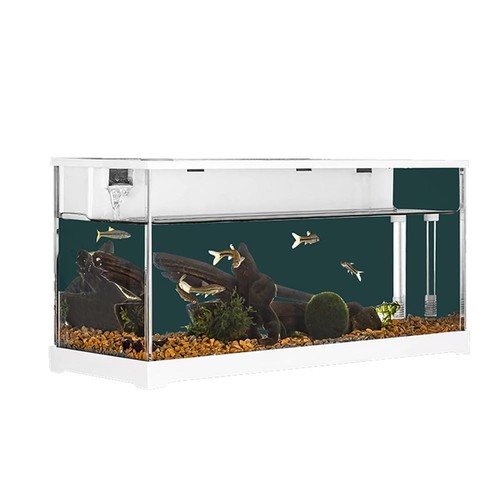 Rechteckiges aquarium - rechteckiges,